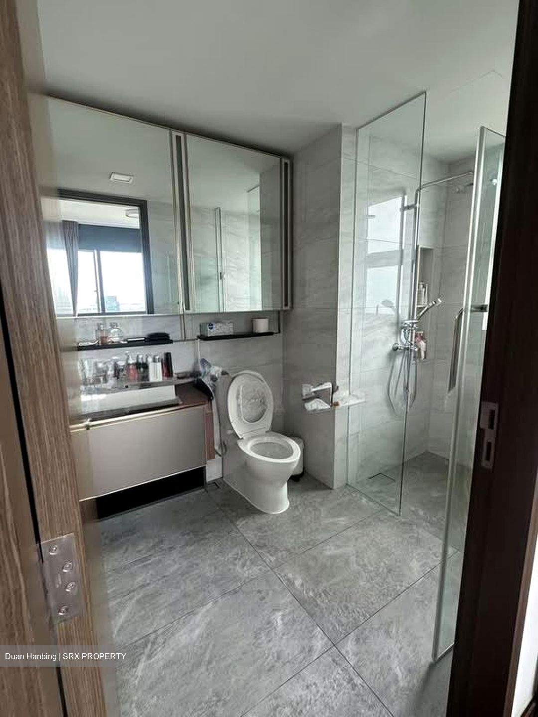 Normanton Park (D5), Apartment #555563361